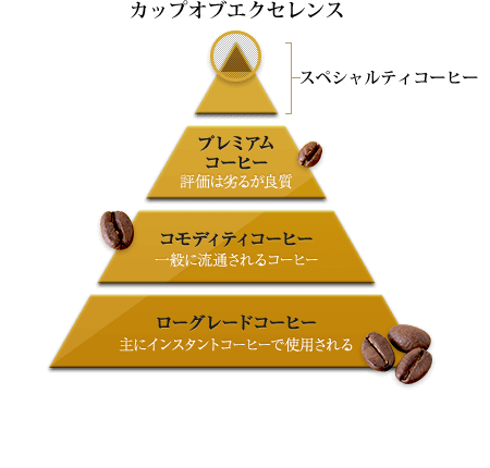 コーヒー ピラミッド