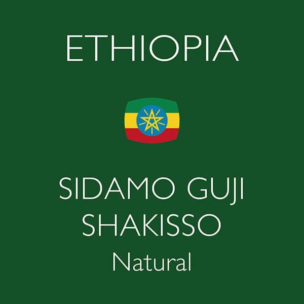 エチオピア シダモ グジ シャキッソ ナチュラル