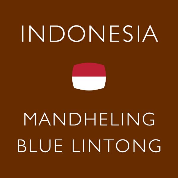 インドネシア マンデリンブルーリントン コーヒー豆