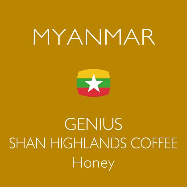 ミャンマージーニアスシャンハイランドコーヒーハニー コーヒー豆