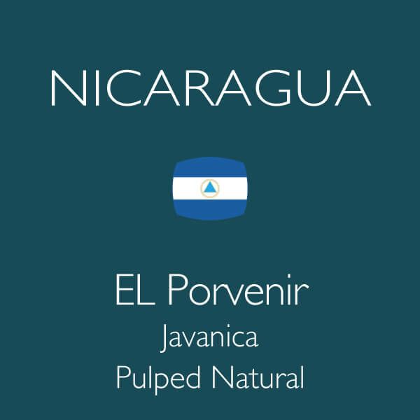 ニカラグア エル ポルベニール ジャバニカ
