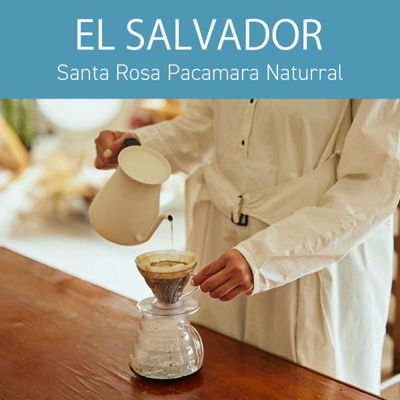 コーヒー豆 エルサルバドル サンタローザ農園 パカマラ ナチュラル