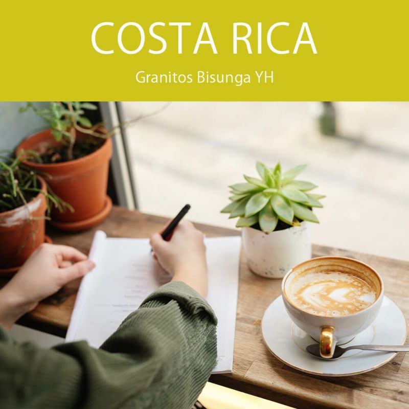 コスタリカ グラニートス ビスンガ YH コーヒー豆